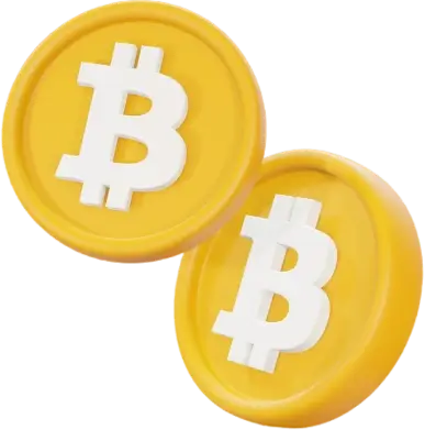 Nowcarbex App - Introducing the Nowcarbex App software